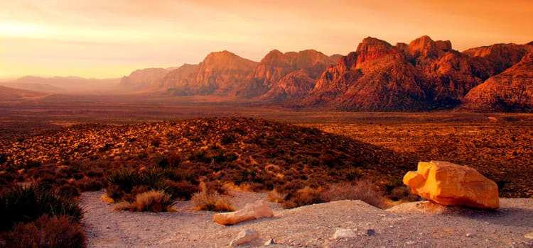 a vast landscape of red rock canyon at dusk